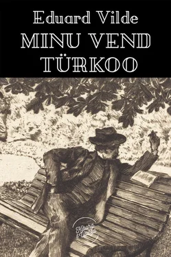 Eduard Vilde Minu vend Türkoo обложка книги