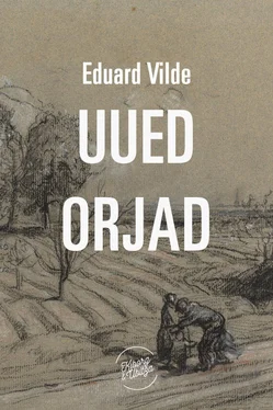 Eduard Vilde Uued orjad обложка книги