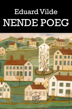 Eduard Vilde Nende poeg обложка книги