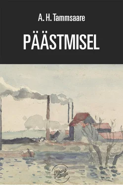 Anton Tammsaare Päästmisel обложка книги