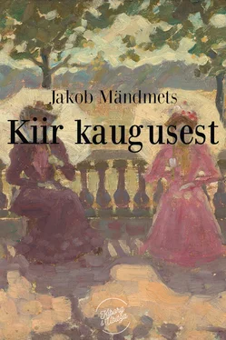 Jakob Mändmets Kiir kaugusest обложка книги