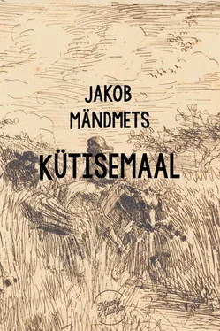 Jakob Mändmets Kütisemaal обложка книги