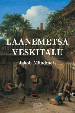 Jakob Mändmets Laanemetsa veskitalu обложка книги