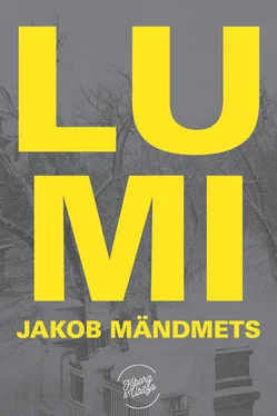 Jakob Mändmets Lumi обложка книги