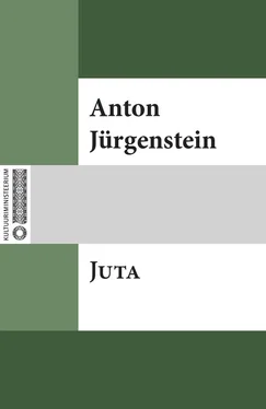 Anton Jürgenstein Juta обложка книги