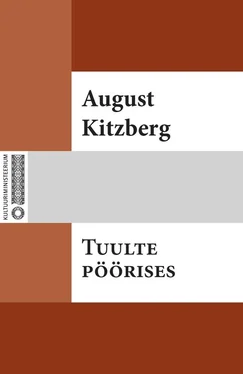 August Kitzberg Tuulte pöörises обложка книги