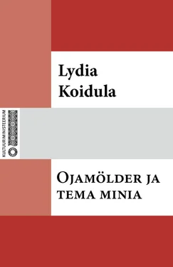 Lydia Koidula Ojamölder ja tema minia обложка книги