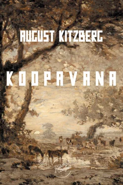 August Kitzberg Koopavana обложка книги