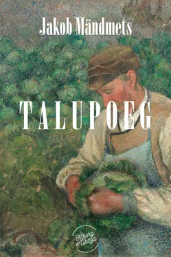 Jakob Mändmets Talupoeg обложка книги