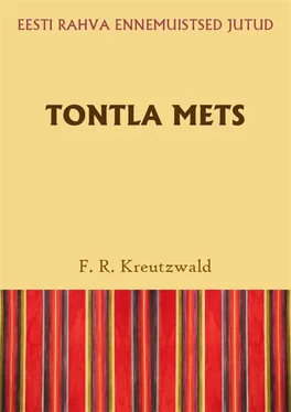 Friedrich Reinhold Kreutzwald Tontla mets обложка книги