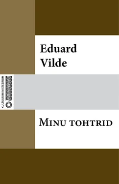 Eduard Vilde Minu tohtrid обложка книги