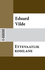 Eduard Vilde - Ettevaatlik kosilane