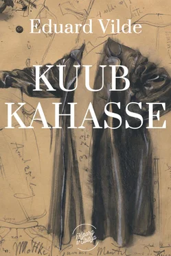 Eduard Vilde Kuub kahasse обложка книги