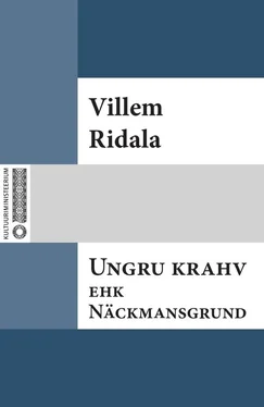 Villem Grünthal-Ridala Ungru krahv ehk Näckmansgrund обложка книги