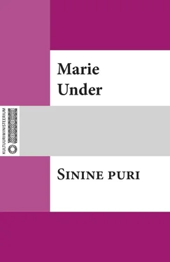 Marie Under Sinine puri обложка книги