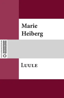 Marie Heiberg Luule обложка книги