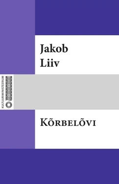 Jakob Liiv Kõrbelõvi обложка книги