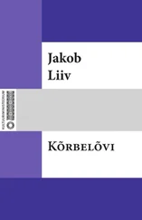 Jakob Liiv - Kõrbelõvi