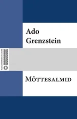 Ado Grenzstein - Mõttesalmid