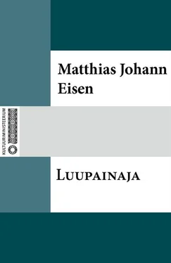 Matthias Johann Eisen Luupainaja обложка книги