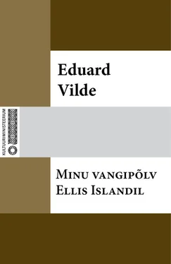 Eduard Vilde Minu vangipõlv Ellis Islandil обложка книги