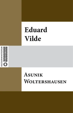 Eduard Vilde Asunik Woltershausen обложка книги