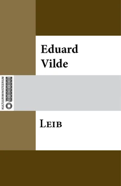 Eduard Vilde Leib обложка книги