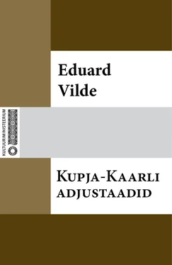 Eduard Vilde Kupja-Kaarli adjustaadid обложка книги