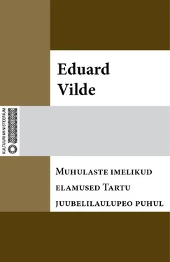 Eduard Vilde Muhulaste imelikud elamused Tartu juubelilaulupeo puhul обложка книги