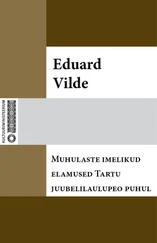 Eduard Vilde - Muhulaste imelikud elamused Tartu juubelilaulupeo puhul