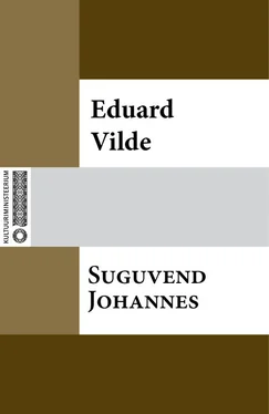 Eduard Vilde Suguvend Johannes обложка книги