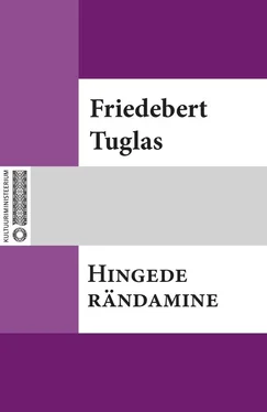 Friedebert Tuglas Hingede rändamine обложка книги