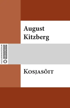 August Kitzberg Kosjasõit обложка книги
