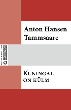 Anton Tammsaare Kuningal on külm обложка книги