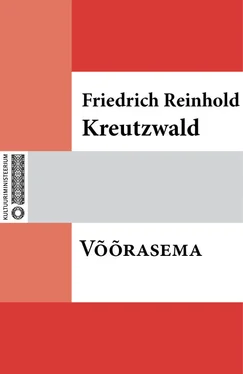 Friedrich Reinhold Kreutzwald Võõrasema обложка книги