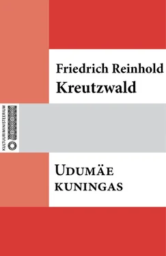 Friedrich Reinhold Kreutzwald Udumäe kuningas обложка книги