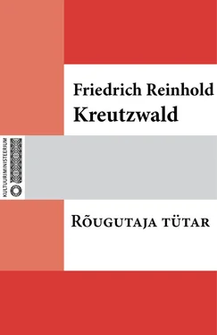 Friedrich Reinhold Kreutzwald Rõugutaja tütar обложка книги