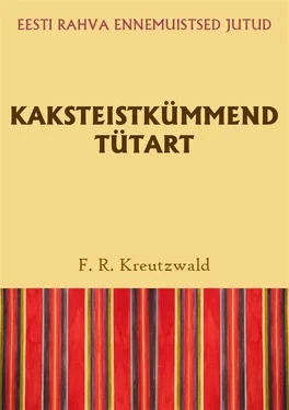 Friedrich Reinhold Kreutzwald Kaksteistkümmend tütart обложка книги