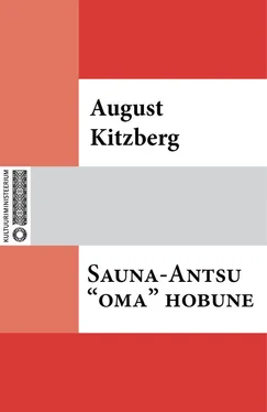 August Kitzberg Sauna-Antsu «oma» hobune обложка книги