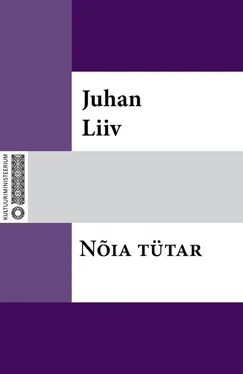 Juhan Liiv Nõia tütar обложка книги