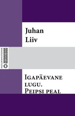 Juhan Liiv Igapäevane lugu обложка книги