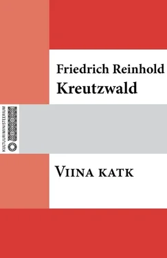 Friedrich Reinhold Kreutzwald Viina katk обложка книги