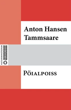 Anton Tammsaare Pöialpoiss обложка книги