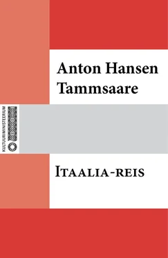 Anton Tammsaare Itaalia-reis обложка книги