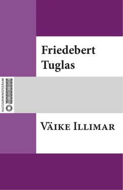 Friedebert Tuglas Väike Illimar обложка книги