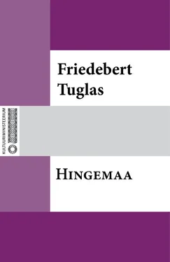 Friedebert Tuglas Hingemaa обложка книги