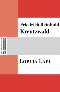 Friedrich Reinhold Kreutzwald Lopi ja Lapi обложка книги