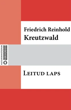 Friedrich Reinhold Kreutzwald Leitud laps обложка книги