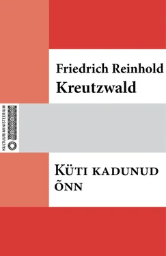 Friedrich Reinhold Kreutzwald Küti kadunud õnn обложка книги