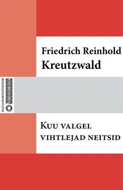 Friedrich Reinhold Kreutzwald Kuu valgel vihtlejad neitsid обложка книги
